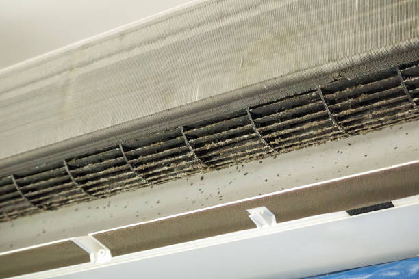 Best Professional Duct Cleaning Services  in Harmony Grove, CA