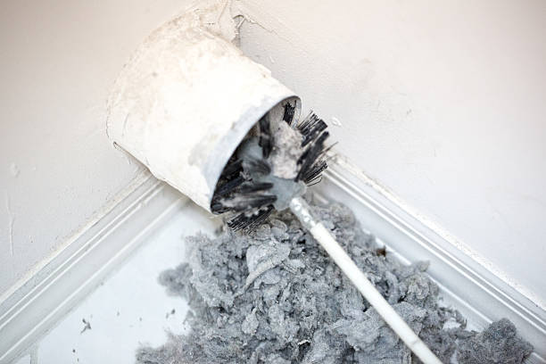 Best Residential Air Duct Cleaning  in Harmony Grove, CA